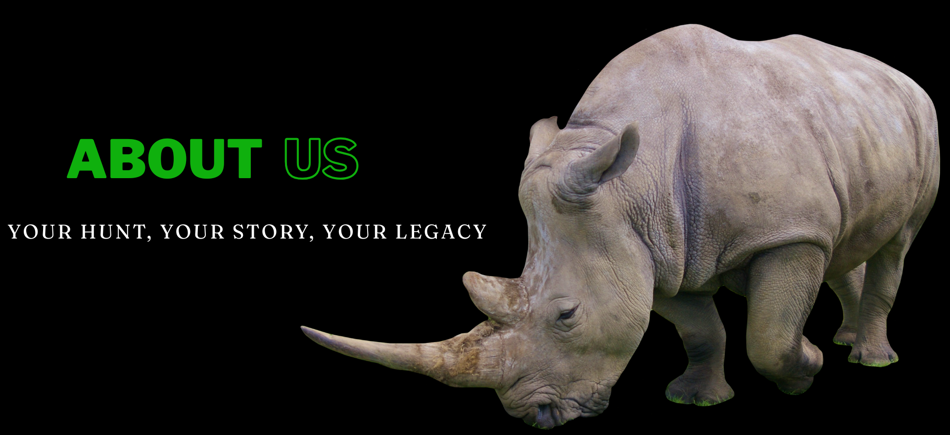 About Us | Olive Productions
